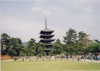 A five storey pagoda